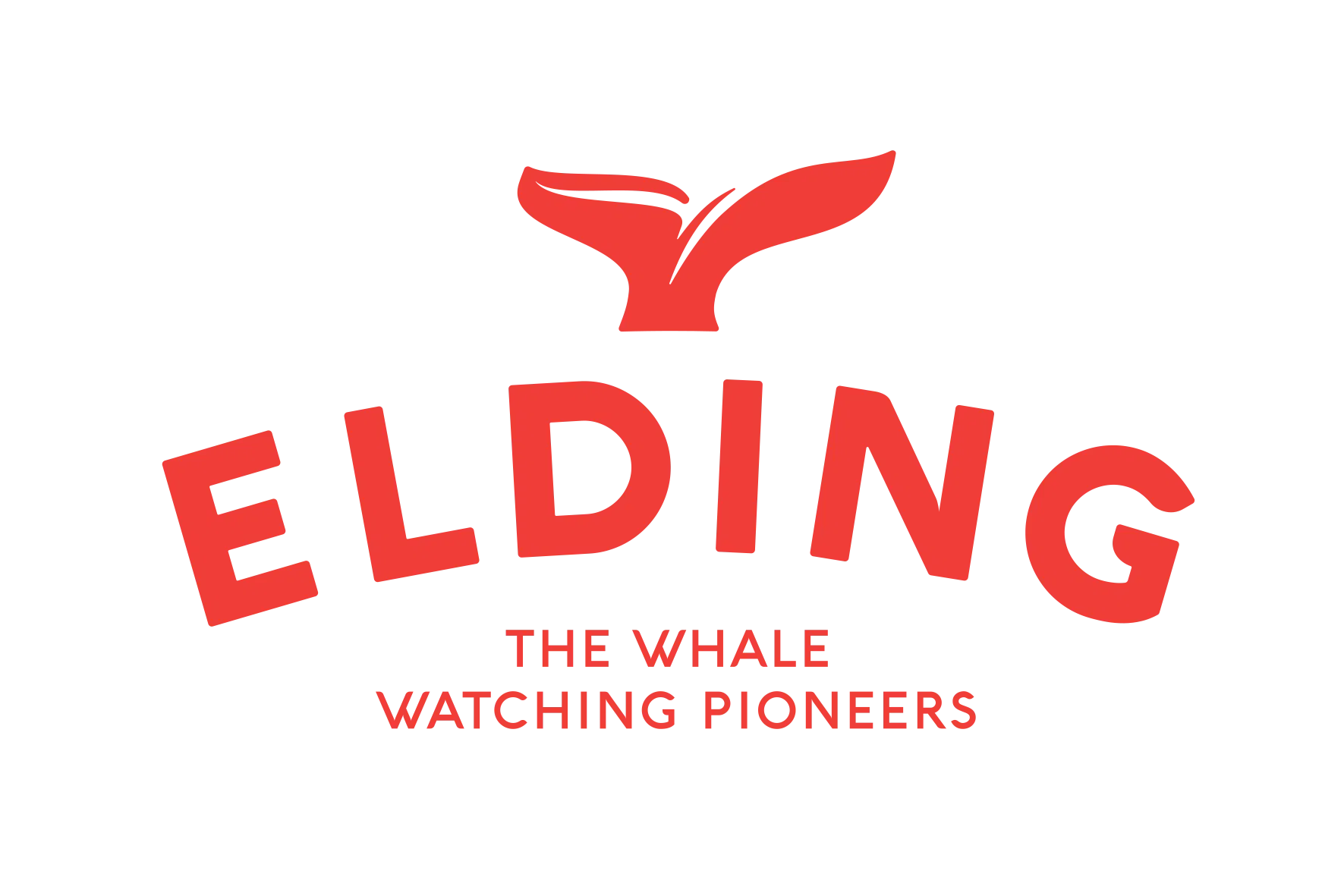 Elding Adventure