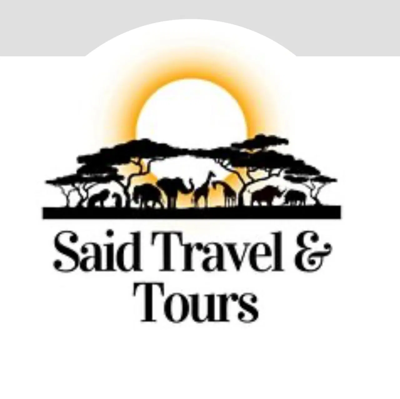 Said Travel & Tours