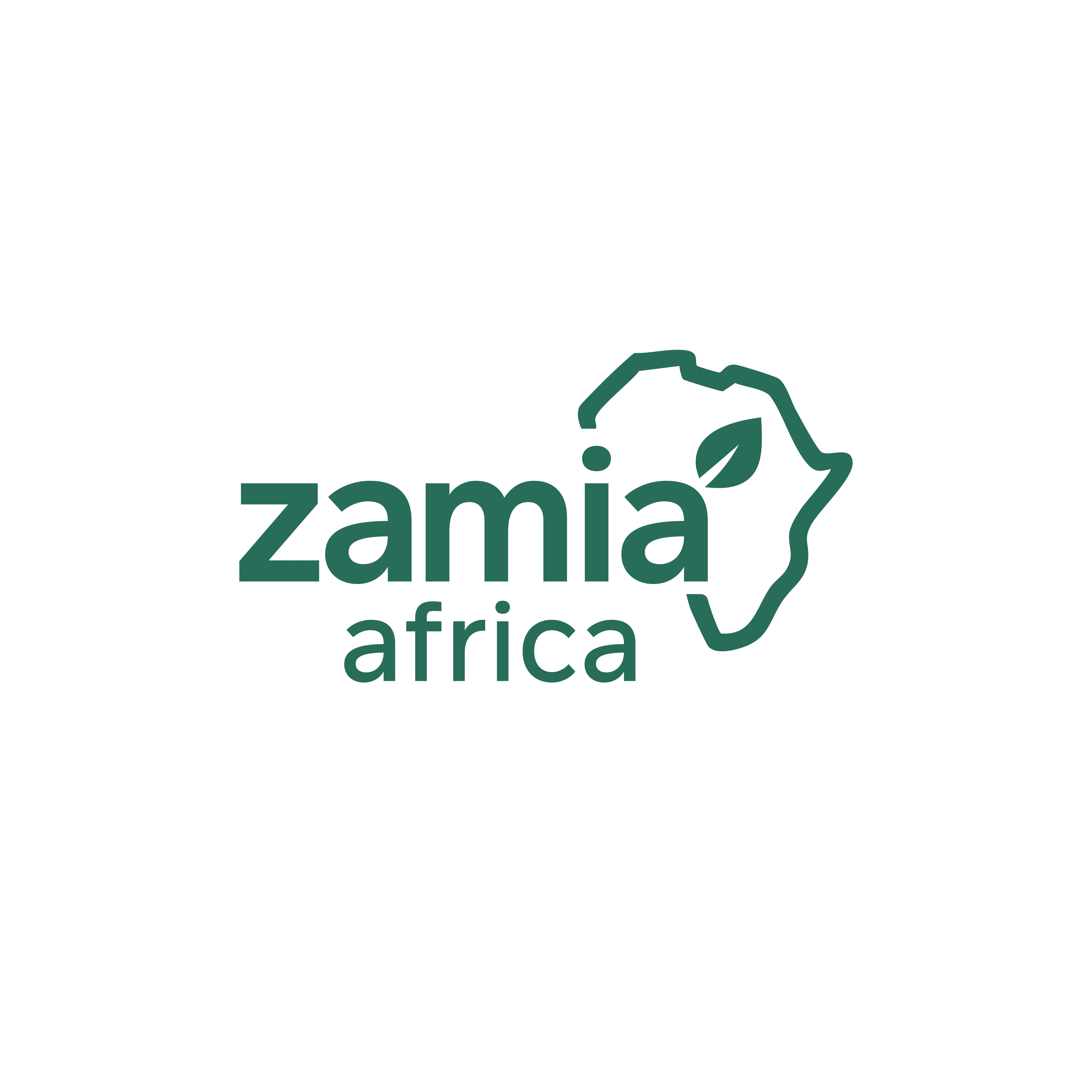 Zamia Africa