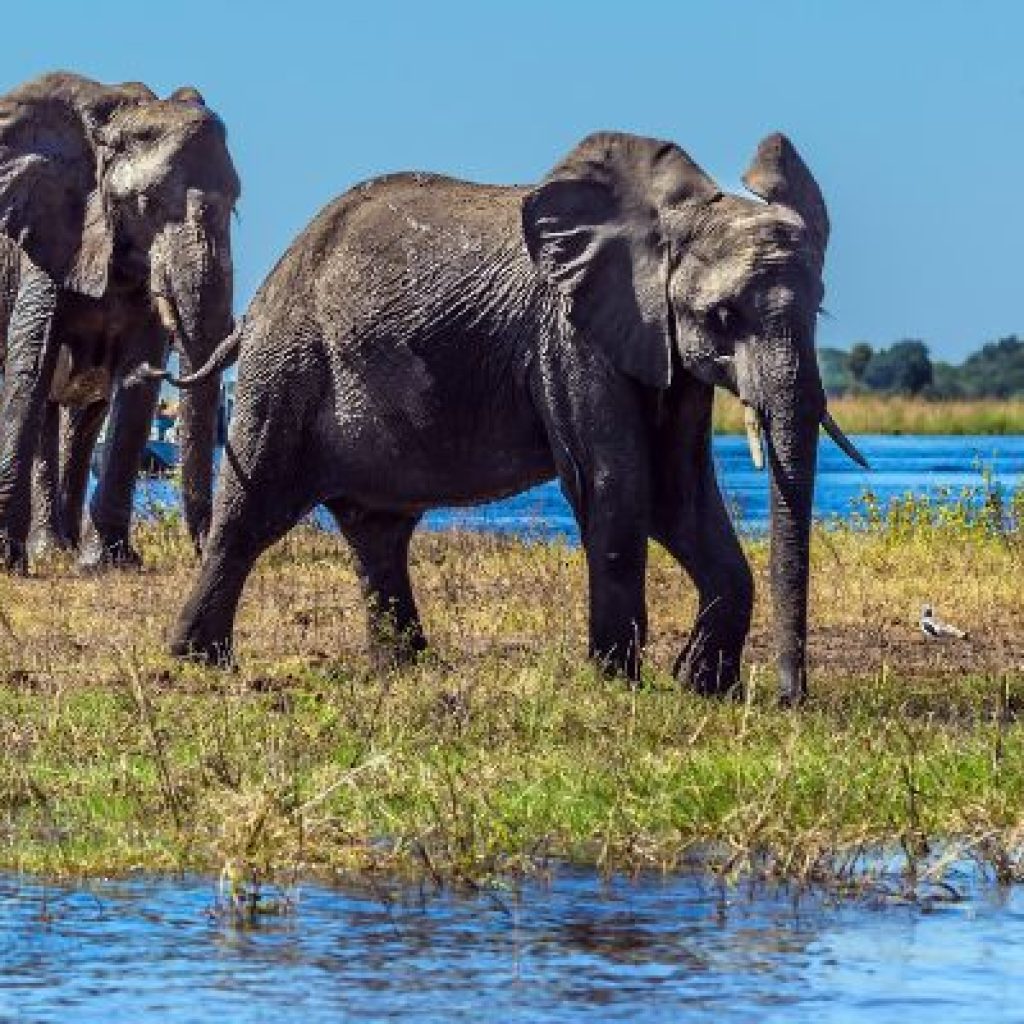 Botswana