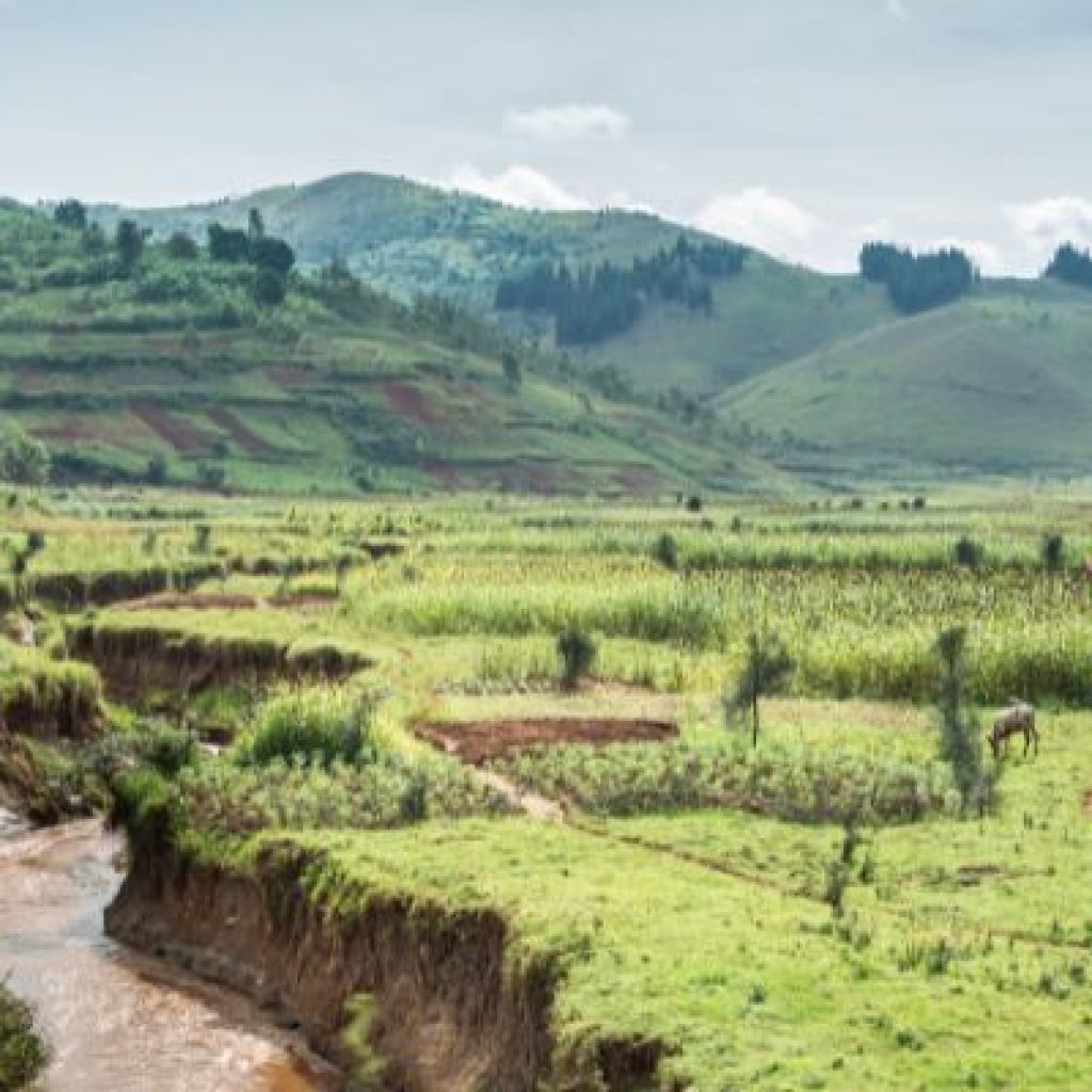 Burundi