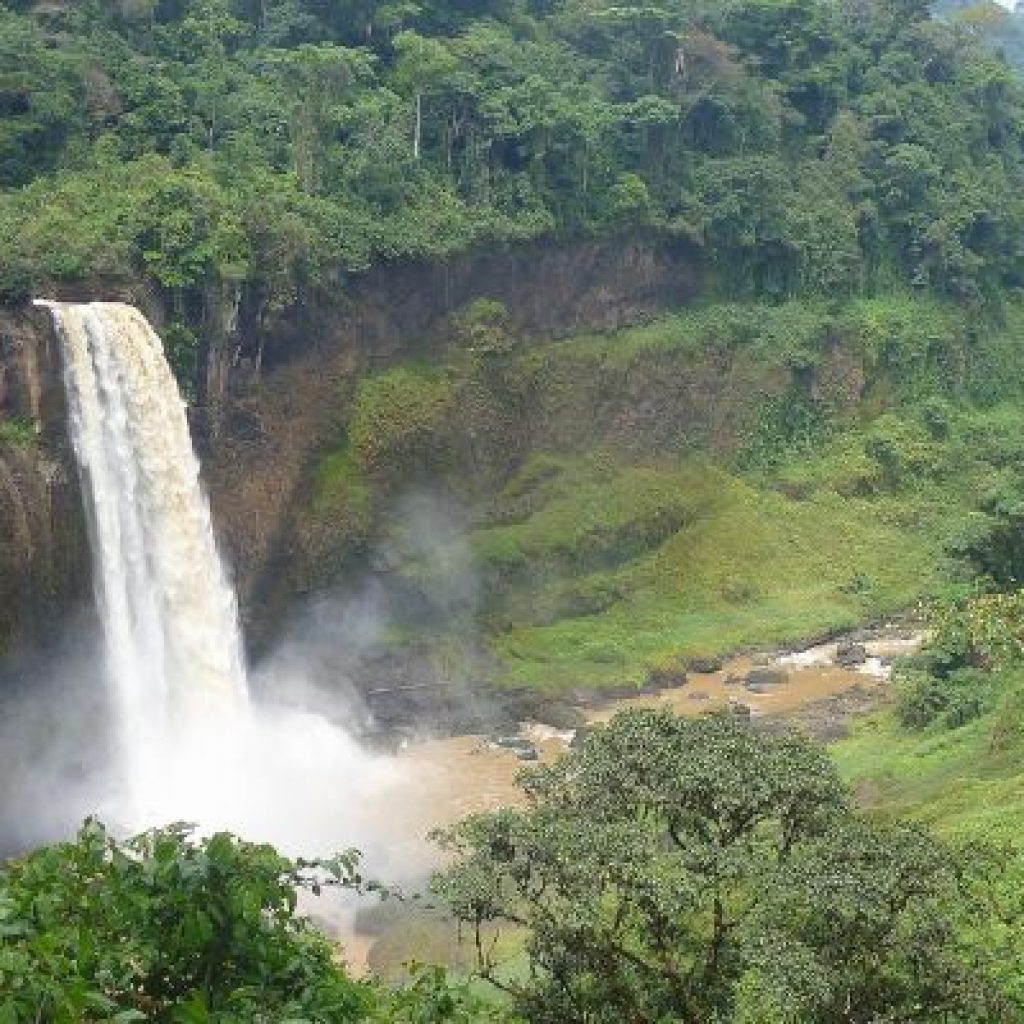 Cameroon