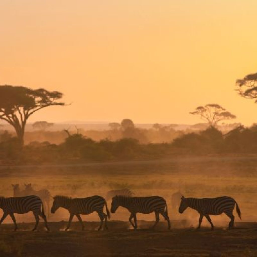 Kenya