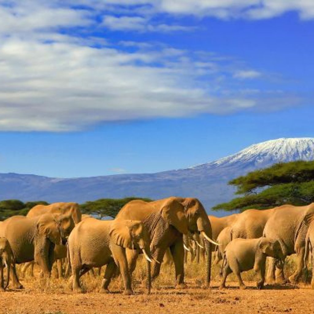 Tanzania