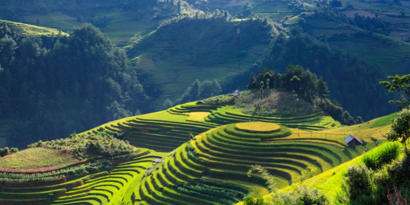 Things to do in Vietnam