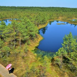 Lahemaa National Park