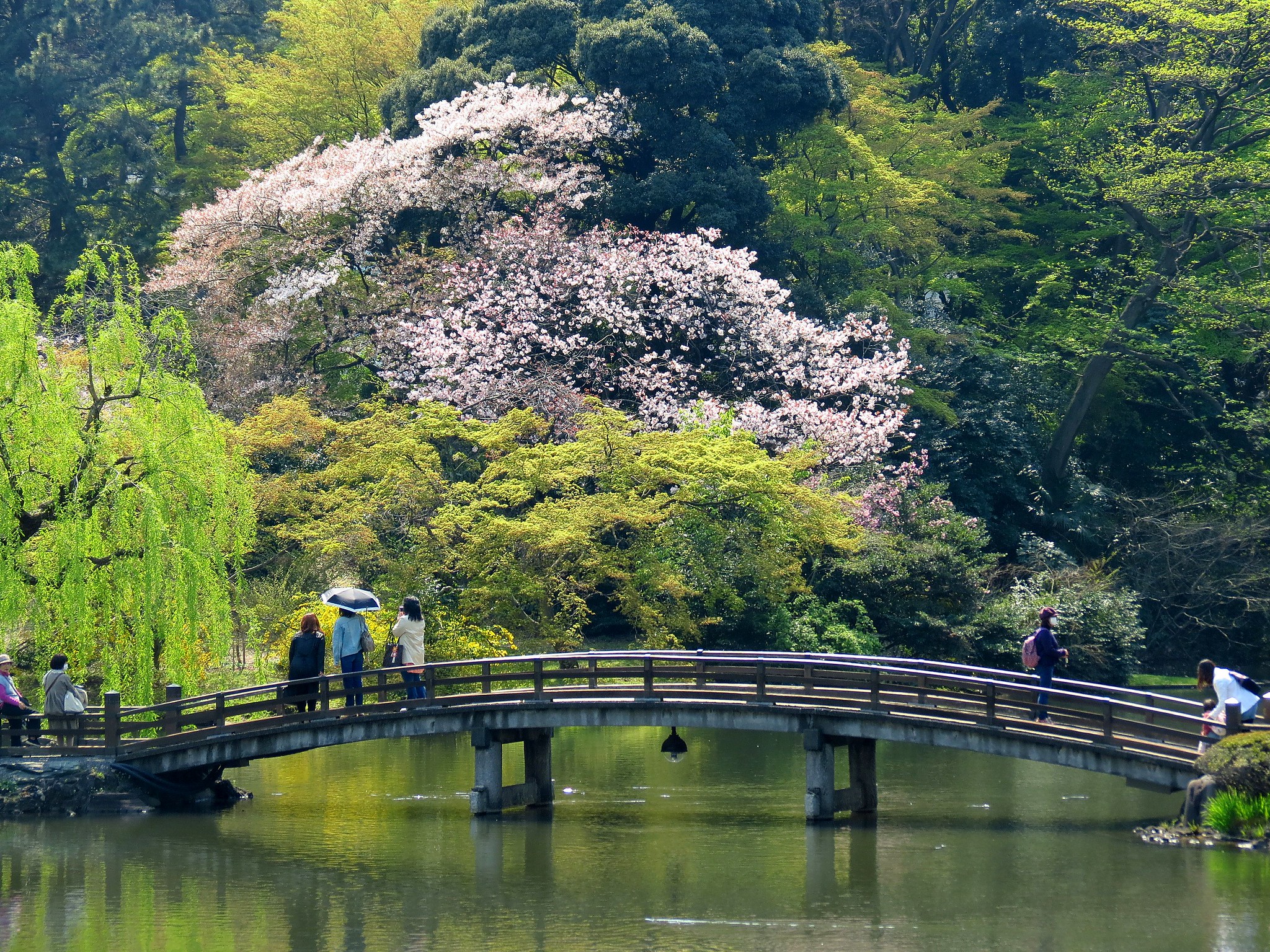 Shinjuku Gyoen National Garden