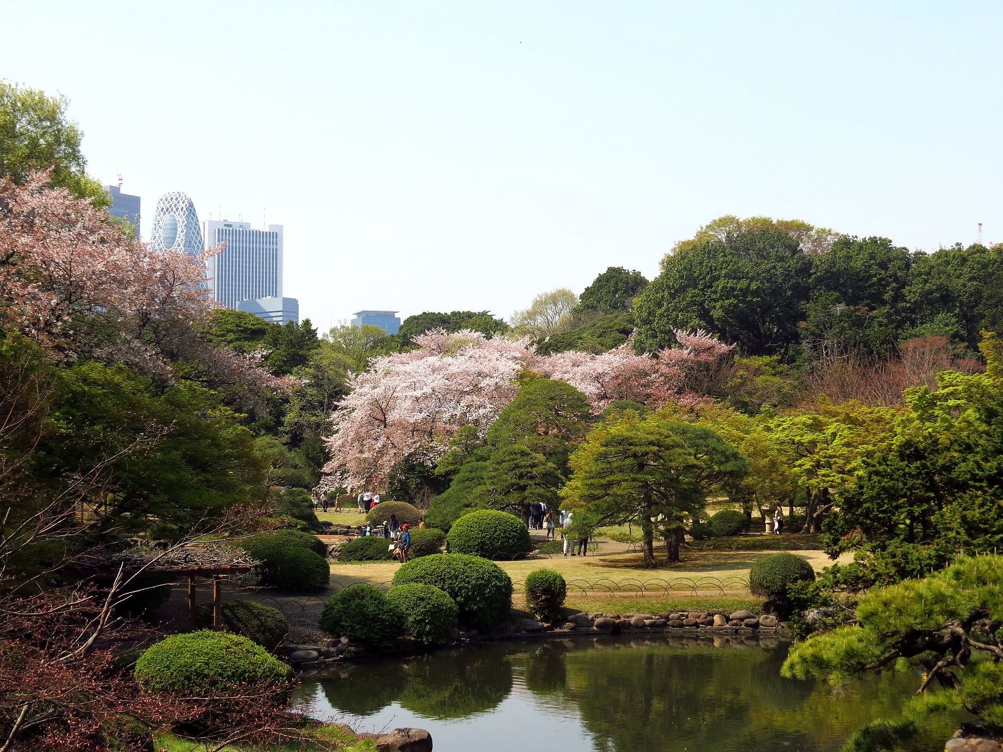 Shinjuku Gyoen National Garden