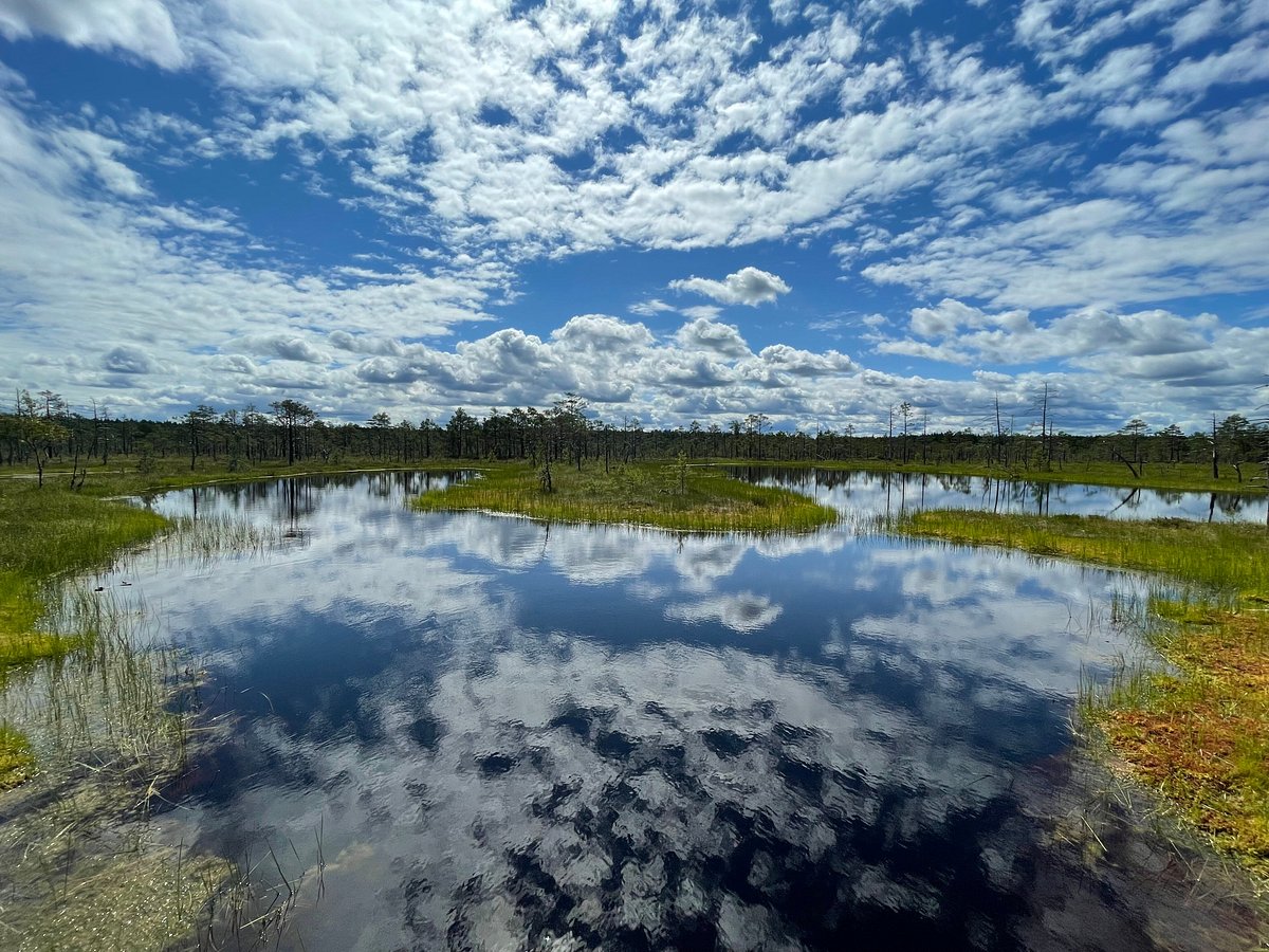 Lahemaa National Park