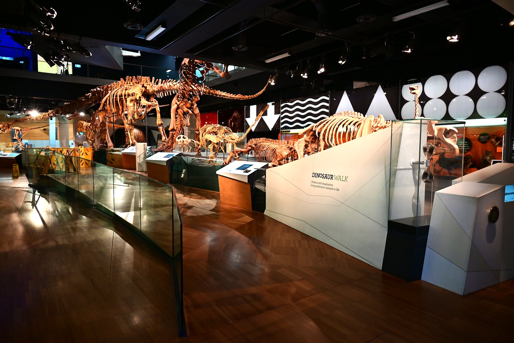 Melbourne Museum A Treasure of History and Culture