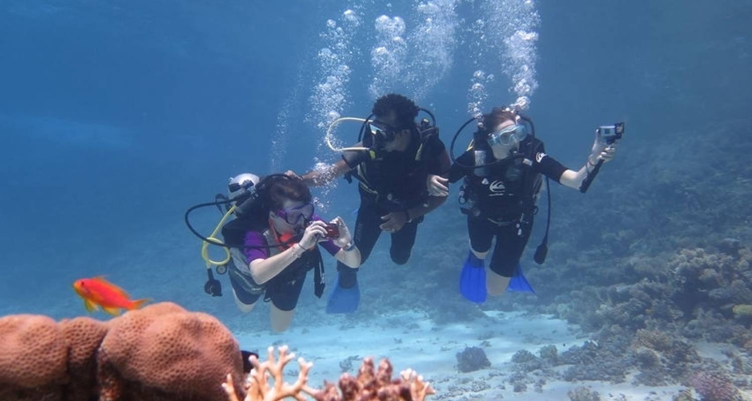 Cairo and Sharm El Shiekh Tour