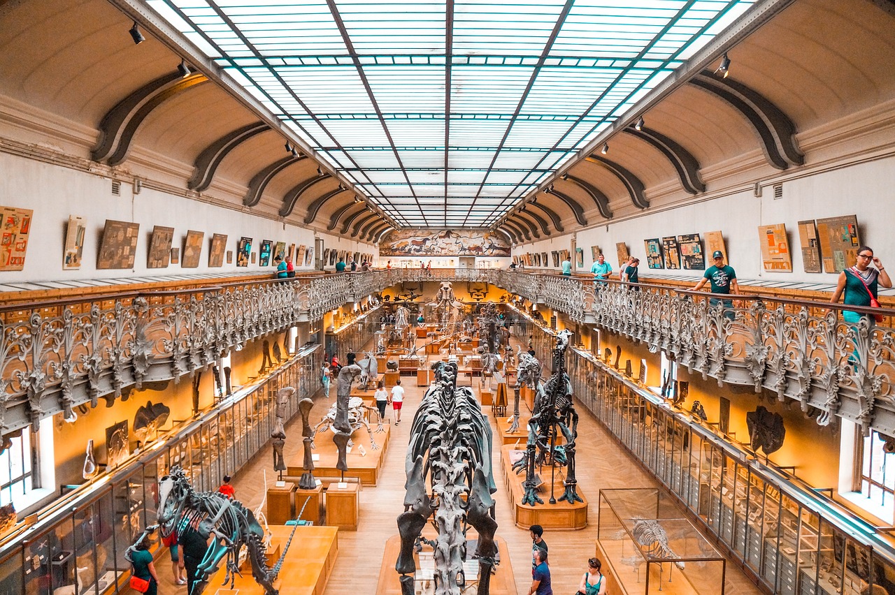 Natural History Museum – Discovering the Wonders of London