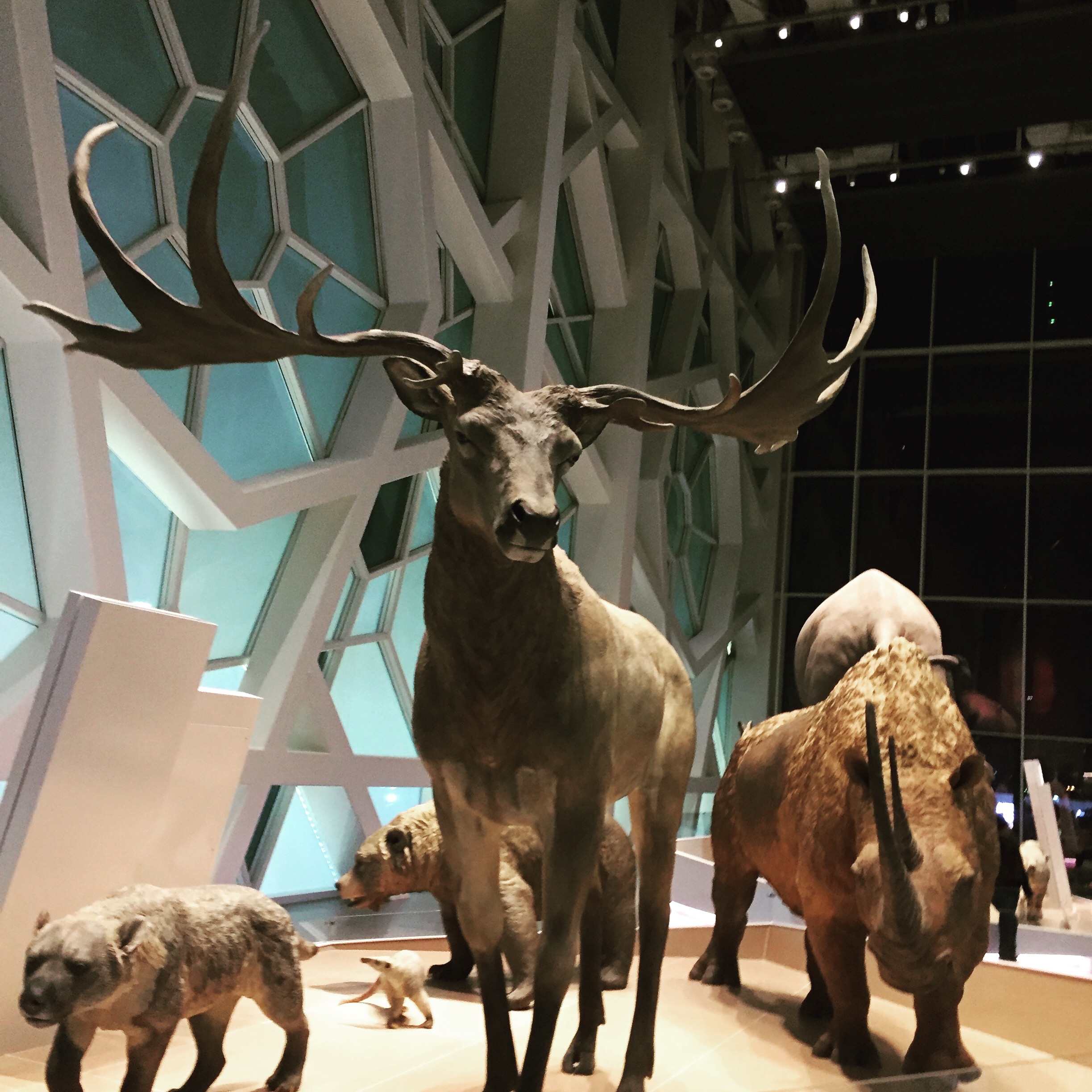 Discover Sheikh Abdullah Al Salem Cultural Center