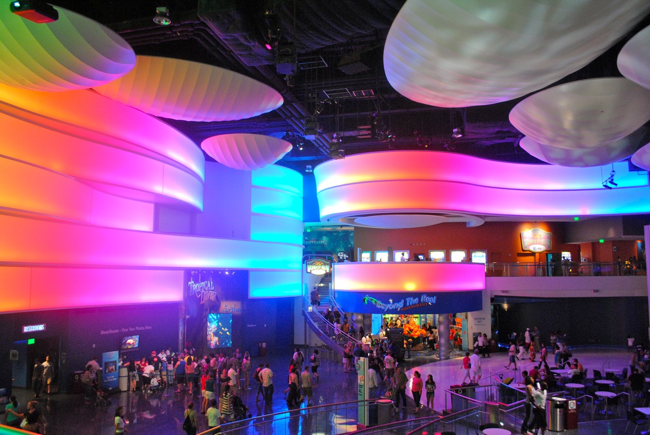 Dive Into Wonders at The Georgia Aquarium