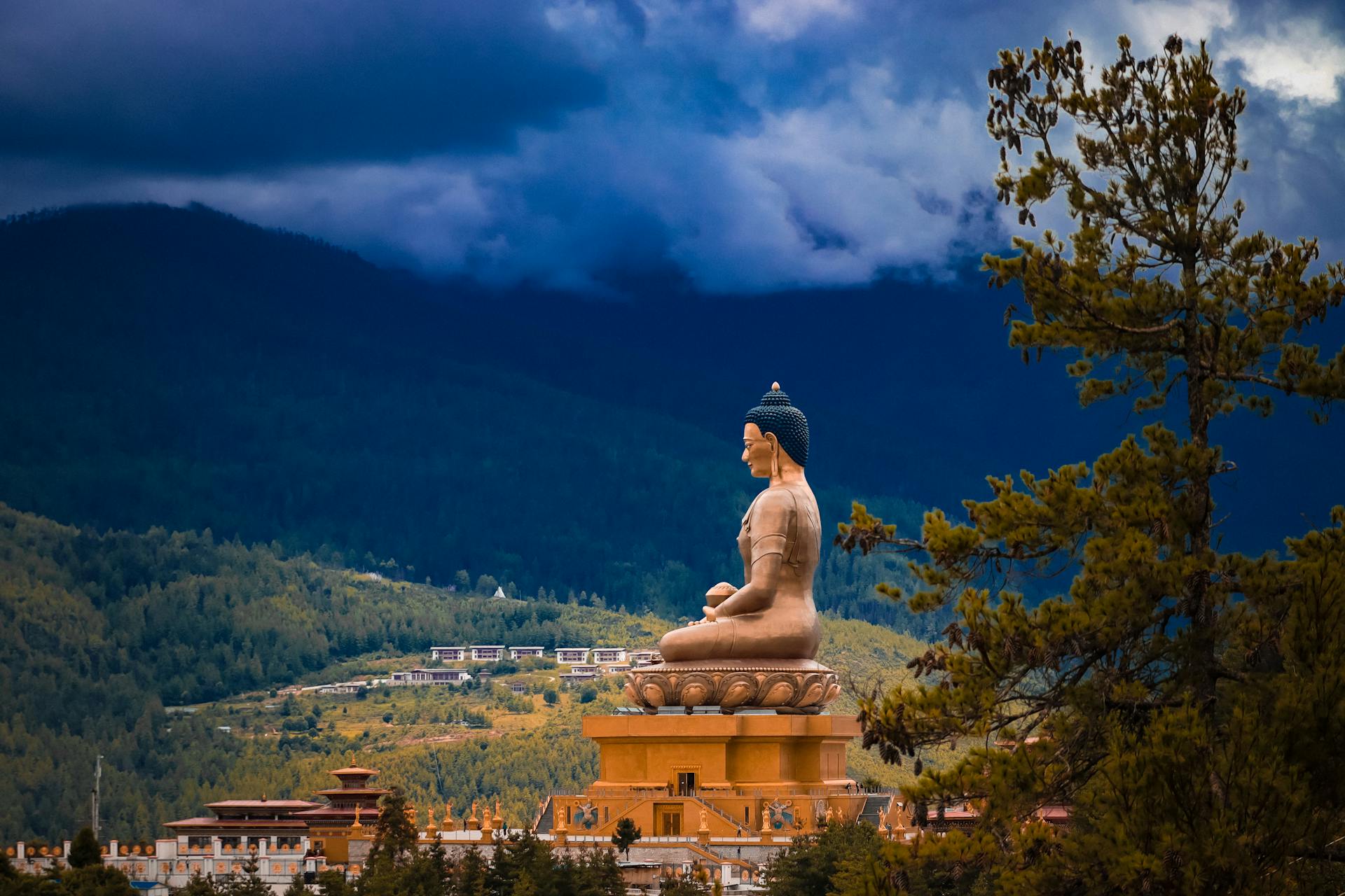 Buddha Dordenma: The Serene Beauty of Himalayan Icon