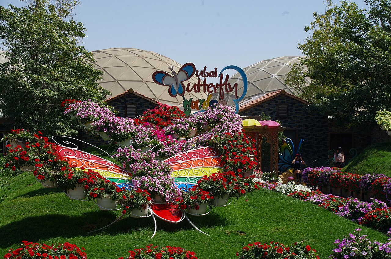 Dubai Butterfly Garden: A Colorful Oasis of Wonder