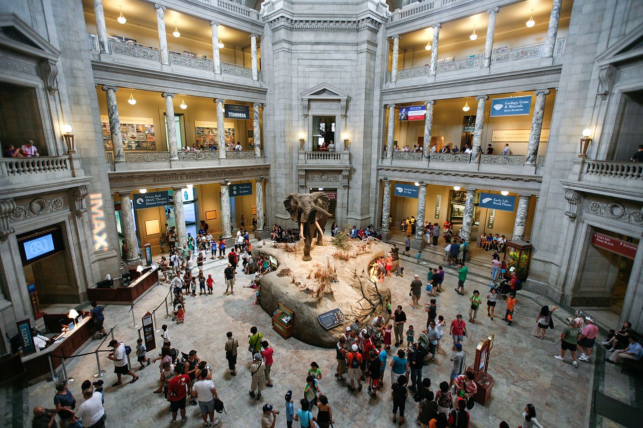 National Museum of Natural History: A Window to Earth’s Wonders