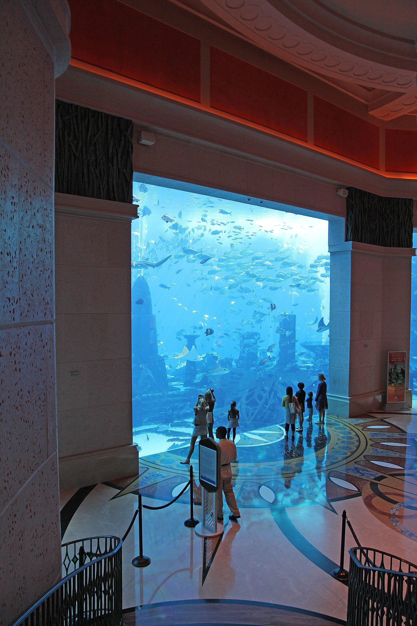 The Lost Chambers Aquarium: Discover Mythical Underwater