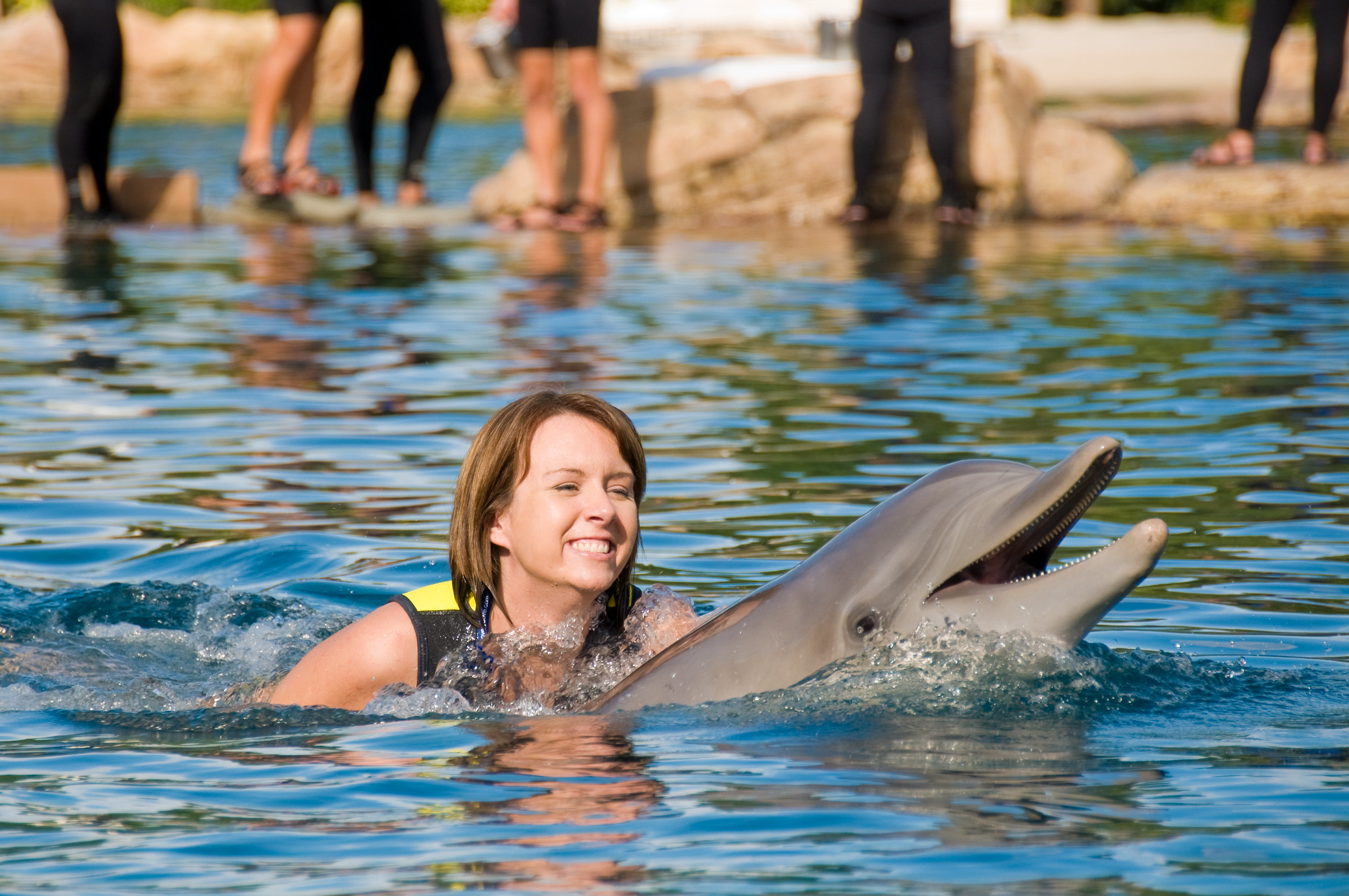 Discovery Cove: A Tropical Paradise of Adventure & Relaxation