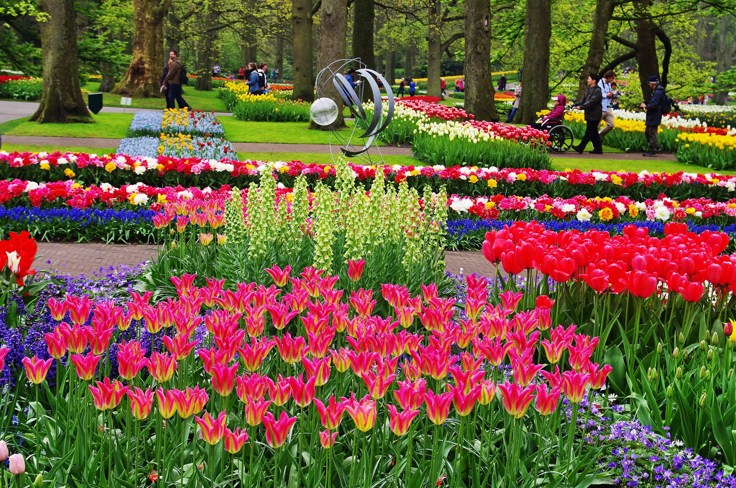 Keukenhof: The Garden of Europe
