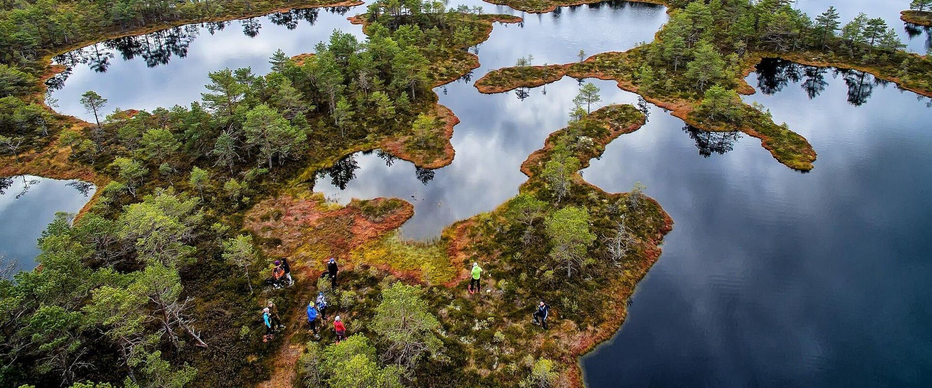 Estonia Best Nature Trails – Full Day Adventure from Tallinn