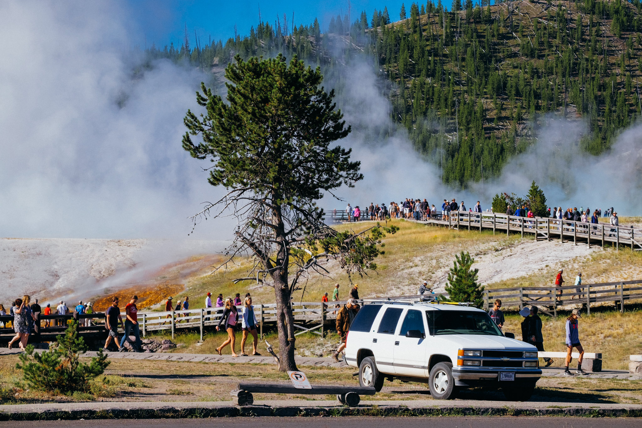 Yellowstone National Park
