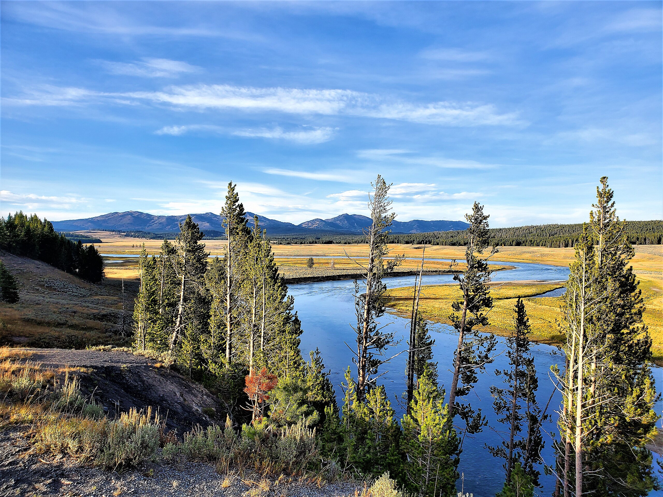 Yellowstone National Park - Hayden Valley