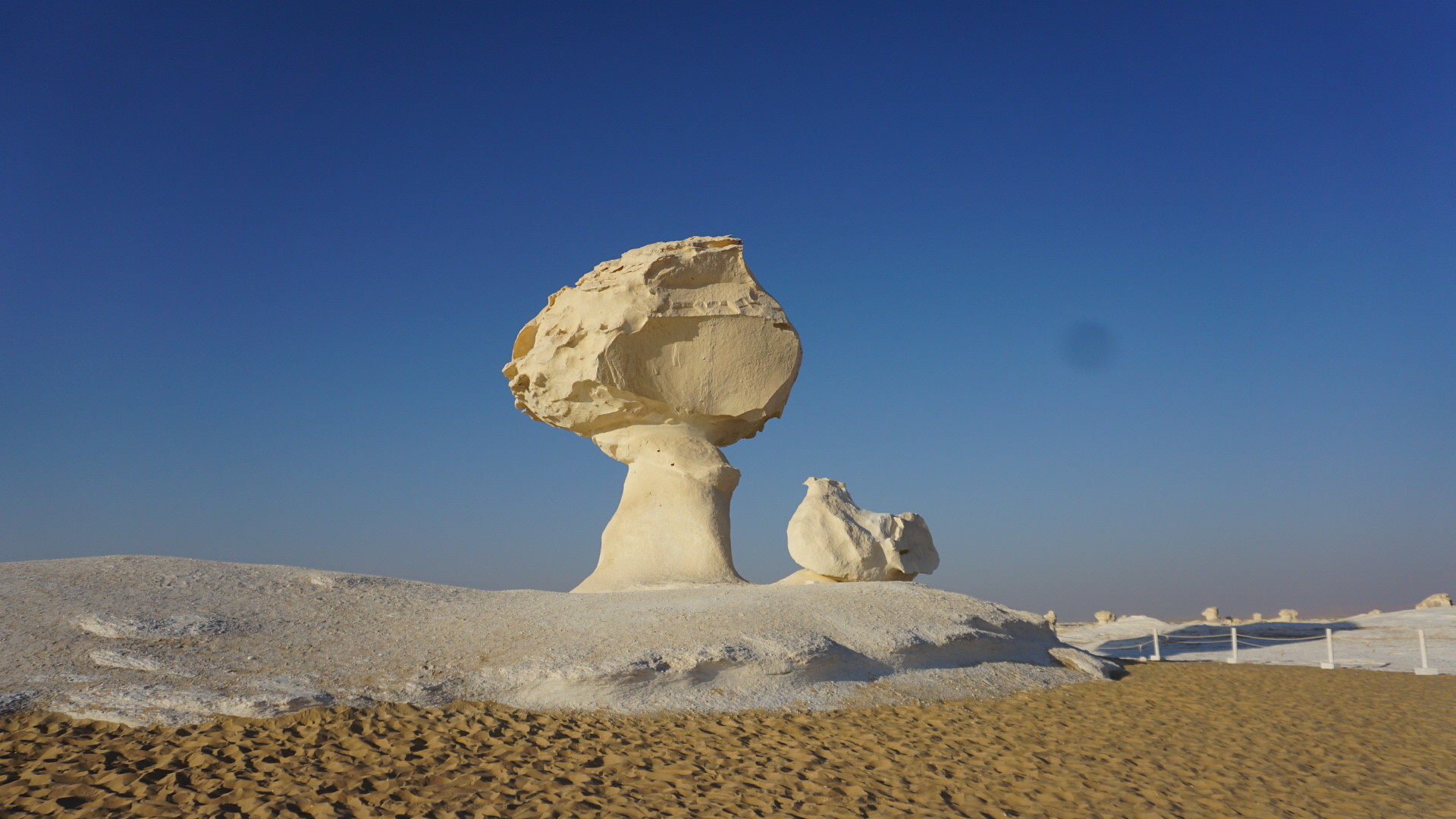 Bahariya Oasis White and Black Deserts Tour From Cario