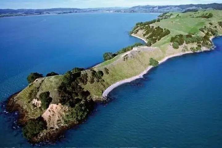 Duder Regional Park Full-Day Guided Walking Tour