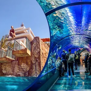 Atlantis Aquaventure Water Park & Lost Chambers Tour with Private Transfer