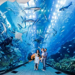 Burj Khalifa 124th &125th Floor & Dubai Aquarium Combo Tour