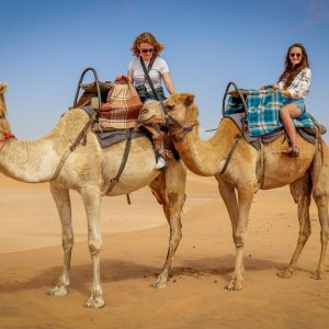 Dubai Desert Safari with BBQ Dinner and Camel Ride