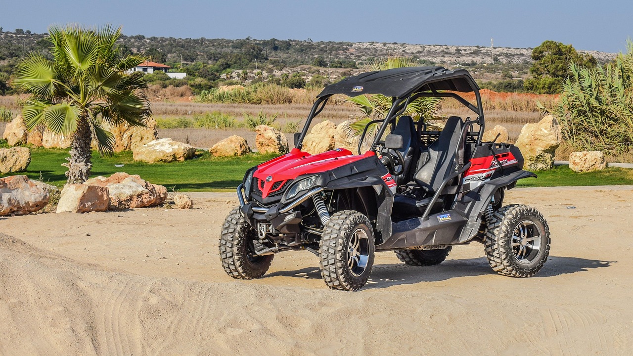 Kusadasi Buggy Safari Tour