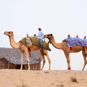 Ultimate 2 Days Dubai Land Tour Package