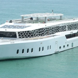 Dubai City Tour & Lotus Mega Yacht Dinner Cruise