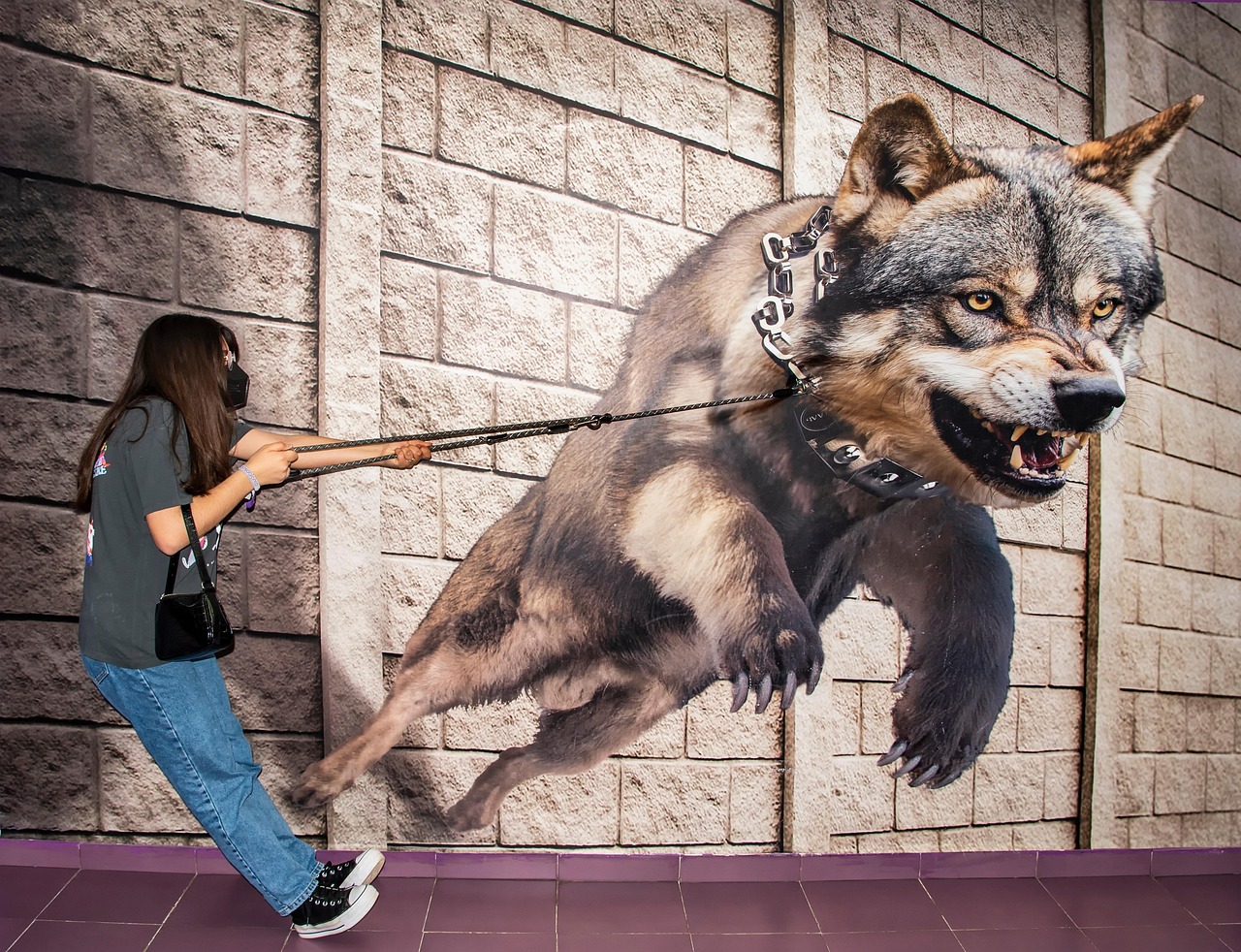 Dubai Museum of Illusions Tour with Private Transfers