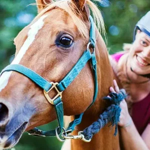 Horse Riding Tour in Bodrum