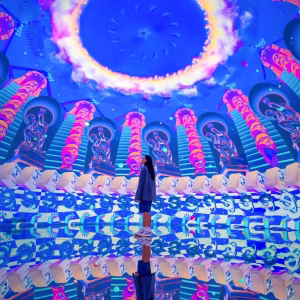 House of Hype Dubai Entry Tickets