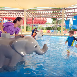 LEGOLAND® Water Park Dubai with Private Transfers