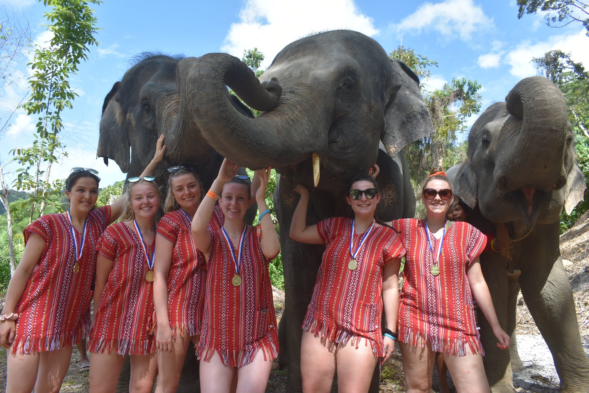Elephant Care Park Experience in Phuket with Hotel Transfer
