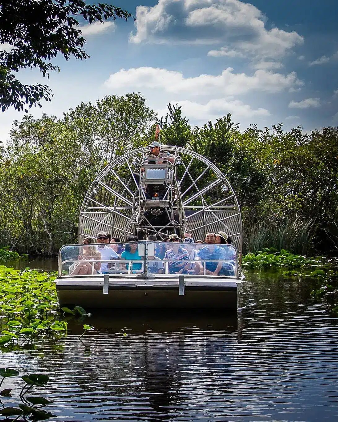 Everglades Park Adventure Airboat Tour & Alligator Show