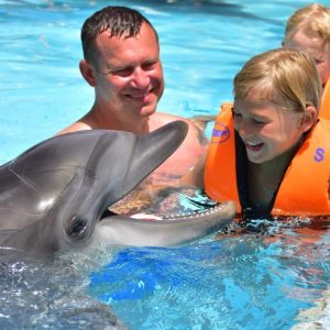 Hurghada Dolphin Show & Swimming Experience