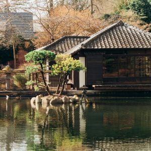 Japan Wisdom Tour to Reconnect Your Senses