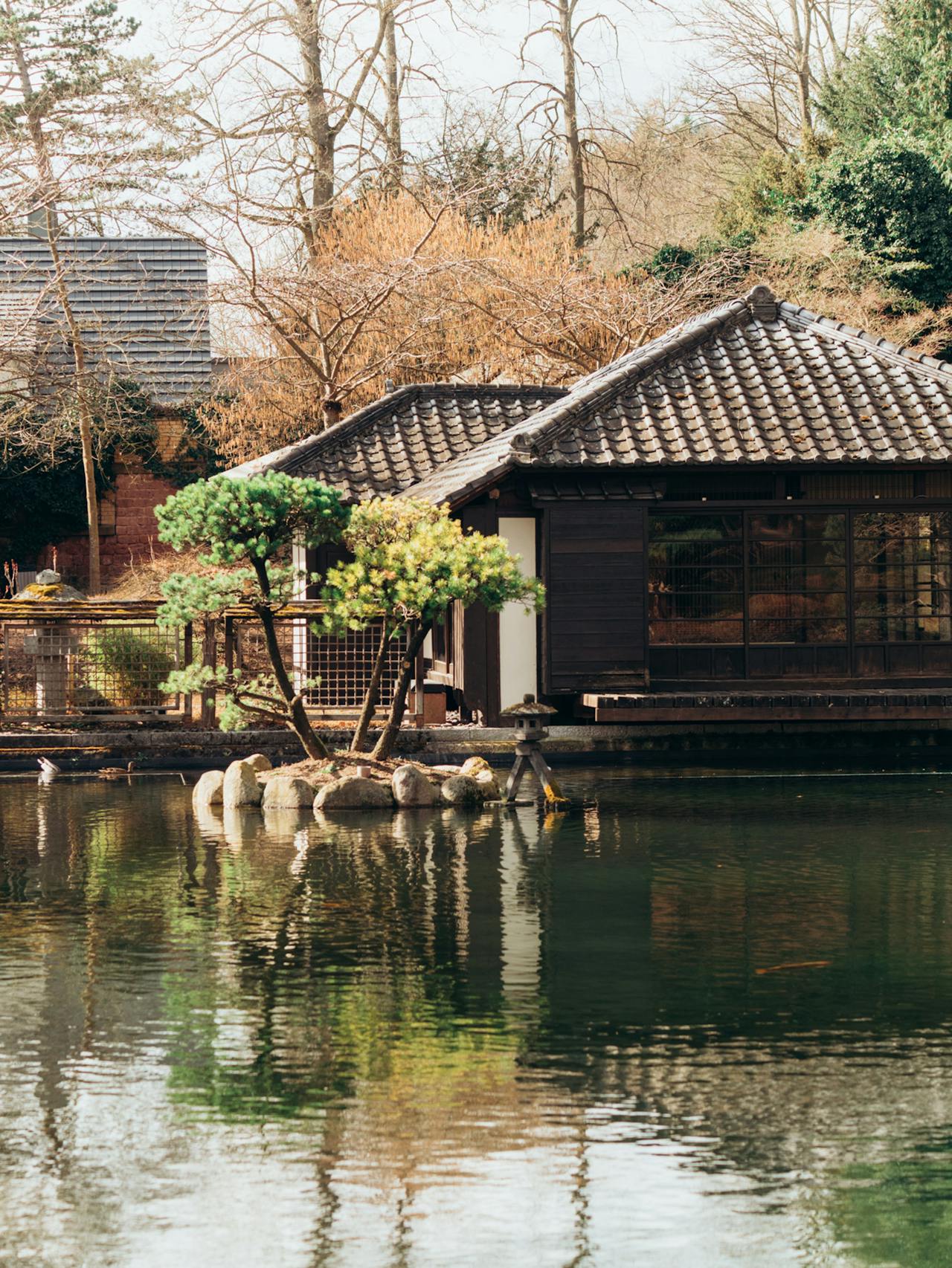 Japan Wisdom Tour to Reconnect Your Senses