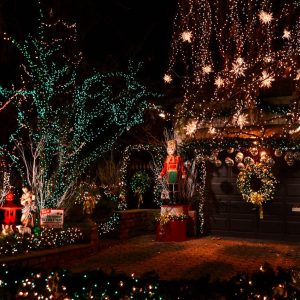New York Dyker Heights Christmas Lights Tour