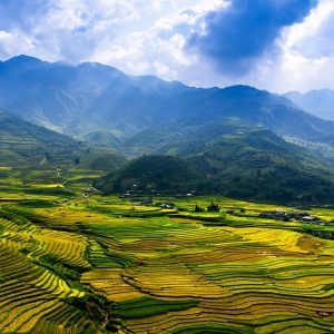 Sapa Trekking Tour – Y Linh Ho, Lao Chai & Ta Van Village