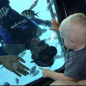 Sharm El Sheikh Semi-Submarine Marine Tour