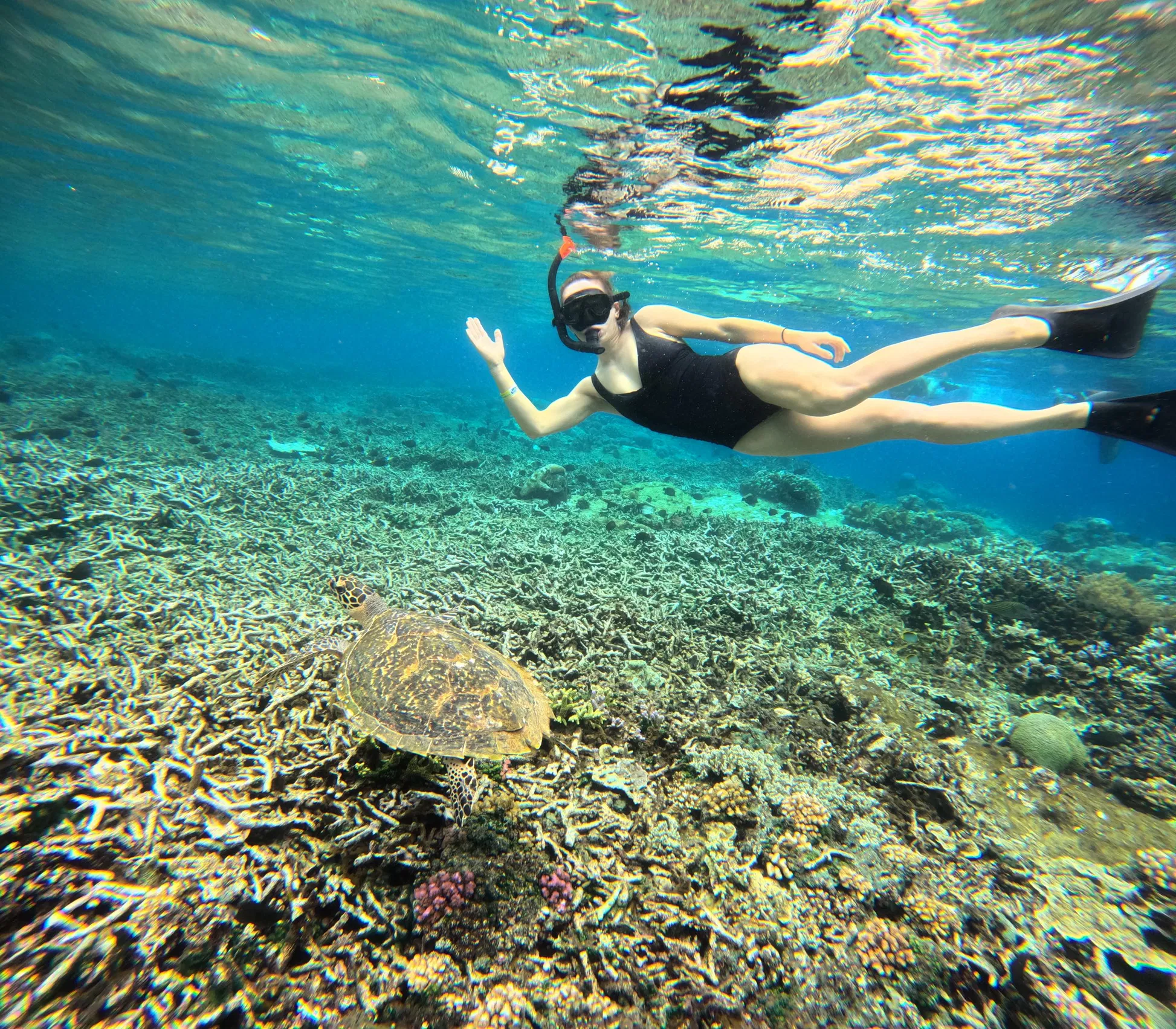 3 Spots Nusa Lembongan & Penida Snorkeling Tour From Bali