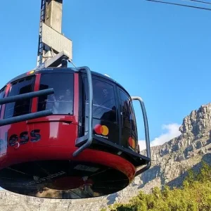 Cape Town Highlights Tour