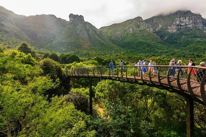 Cape Town Table Mountain, Kirstenbosch, and Constantia Tour
